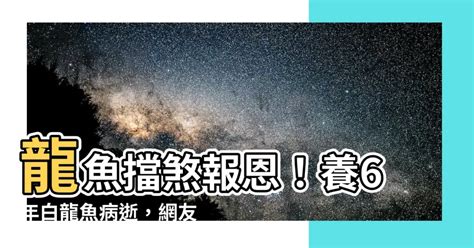 龍魚擋災|【龍魚擋災】龍魚擋災不可信？揭秘養魚的風水迷思